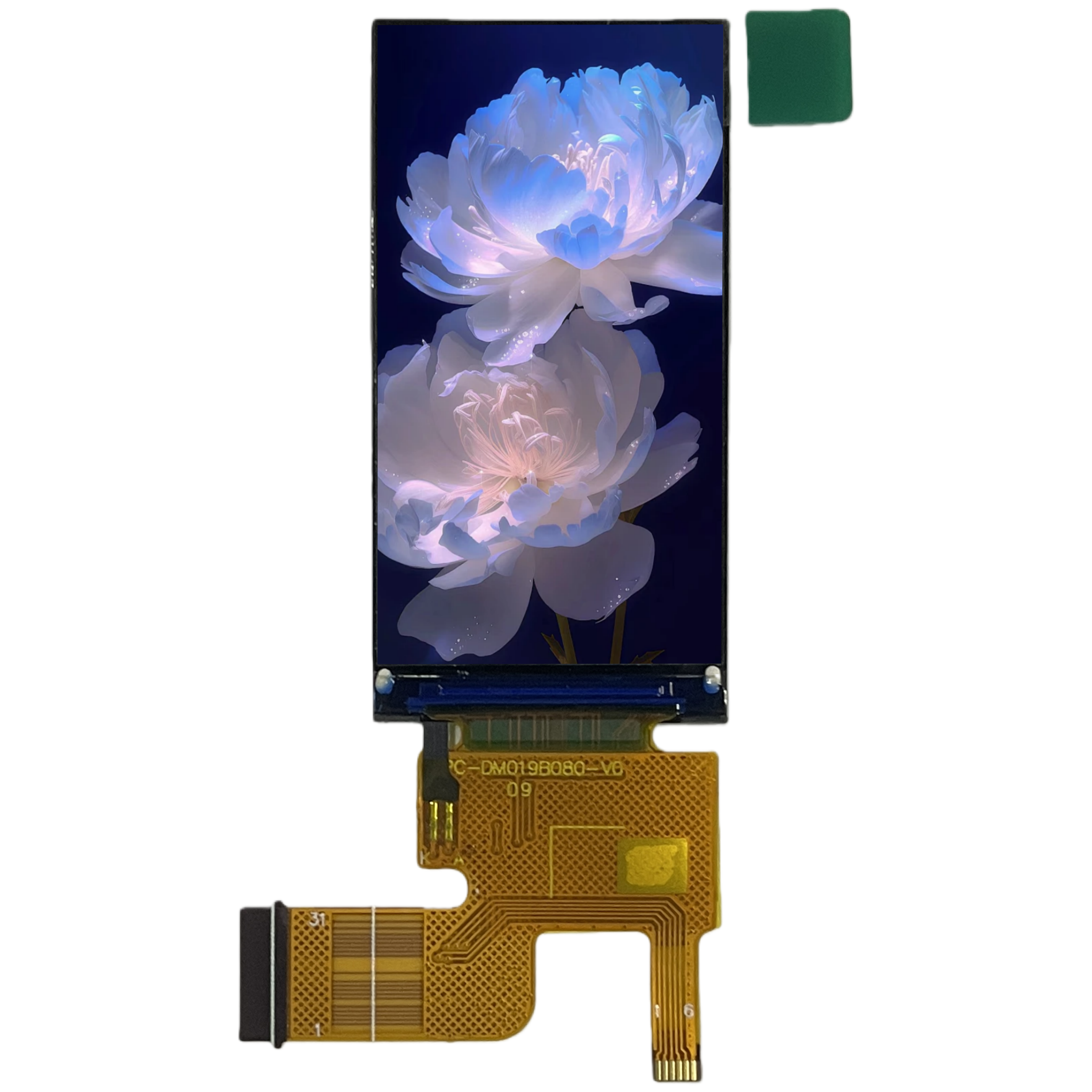 LCD display module