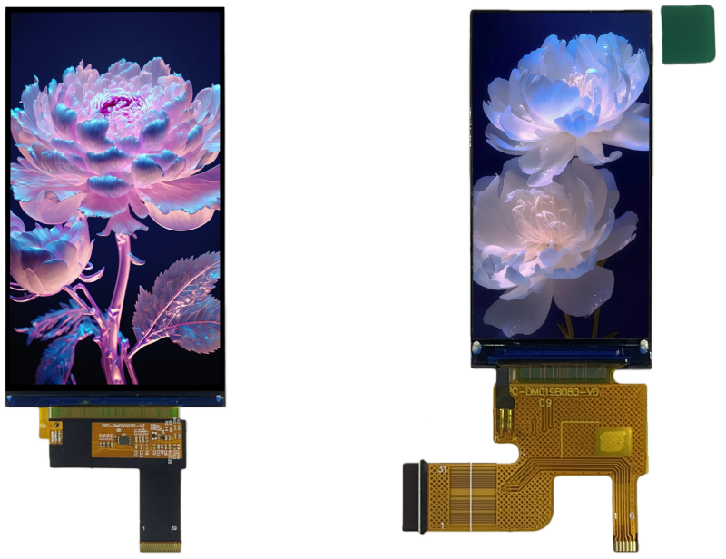 LCD Display Module